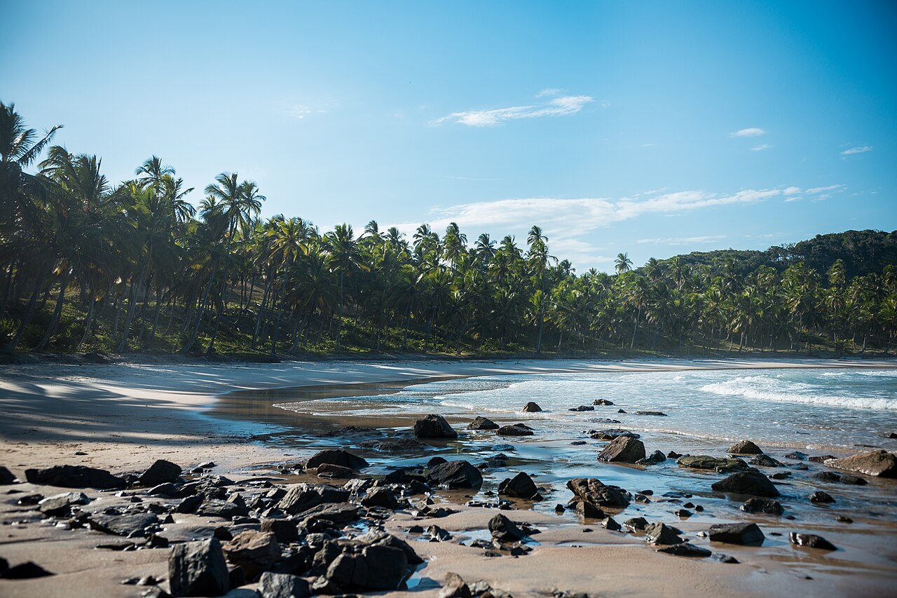 Praia de Itacaré ao entardecer com coqueiros e mar calmo