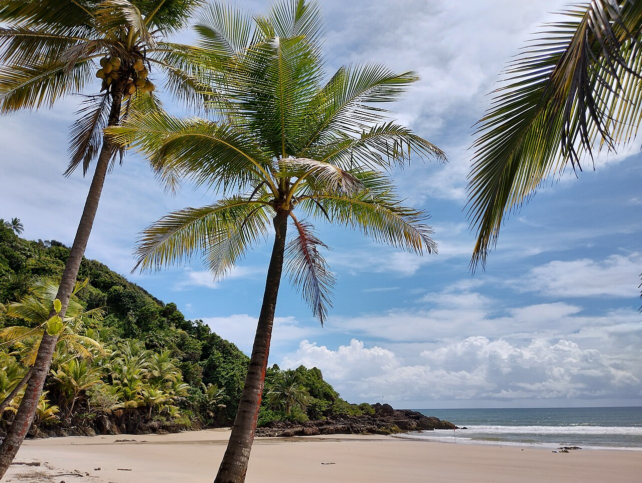 Praia paradisíaca de Itacaré, na Bahia, com mar azul turquesa, coqueiros e Mata Atlântica